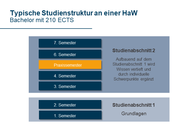 Studienstruktur