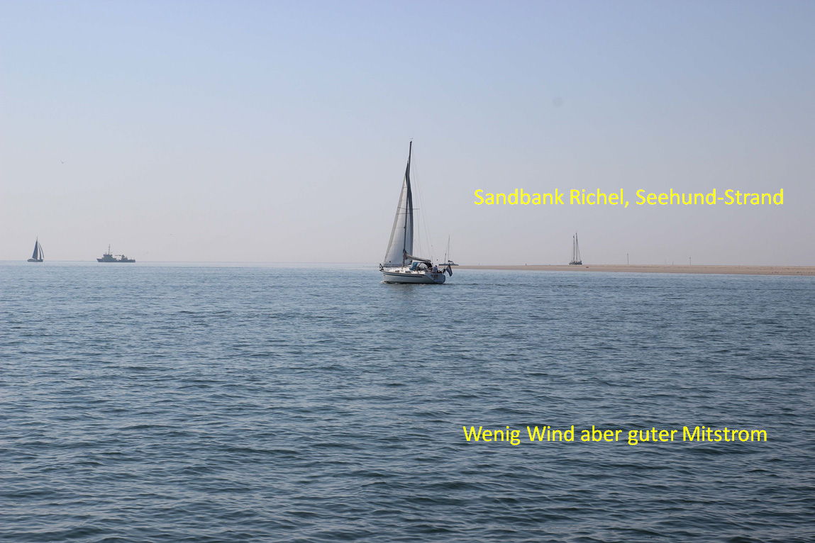 Sandbank Richel, Ruhe- und Sonnenplatz für Seehunde. In den 80er-Jahren ist ein Tornado-Kampfflugzeug darauf abgestürzt. Bald hatten wir sogar bis 10 kn Wind, was uns mit dem Strom zusammen ab und zu zwischen 5 und 7 kn Fahrt über Grund bescherte.