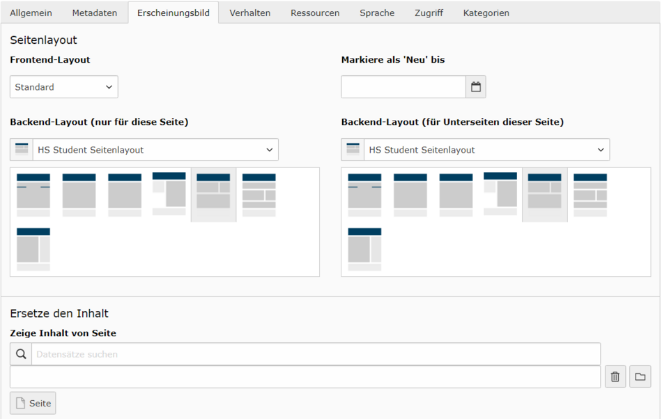 Screenshot Formular Erscheinungsbild der Seite