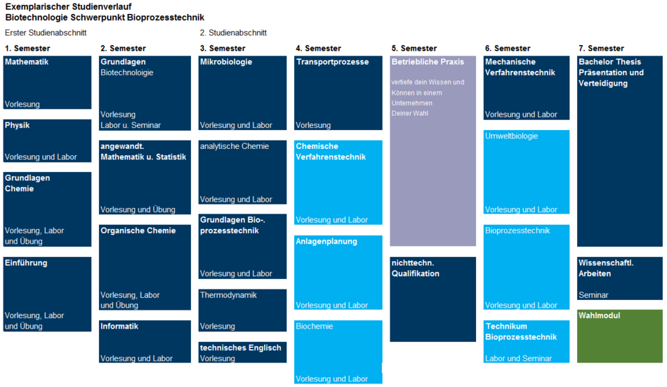 exemplarischer Studienverlauf des Schwerpunkt Bioprozesstechnik
