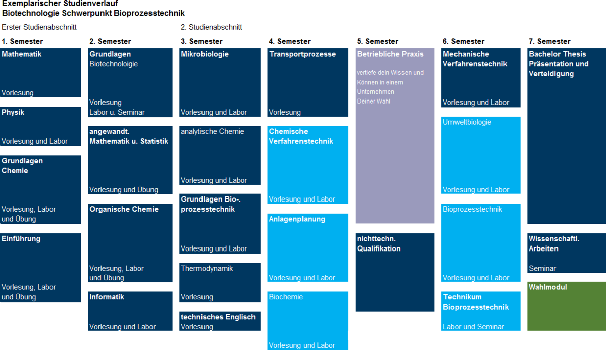 exemplarischer Studienverlauf des Schwerpunkt Bioprozesstechnik