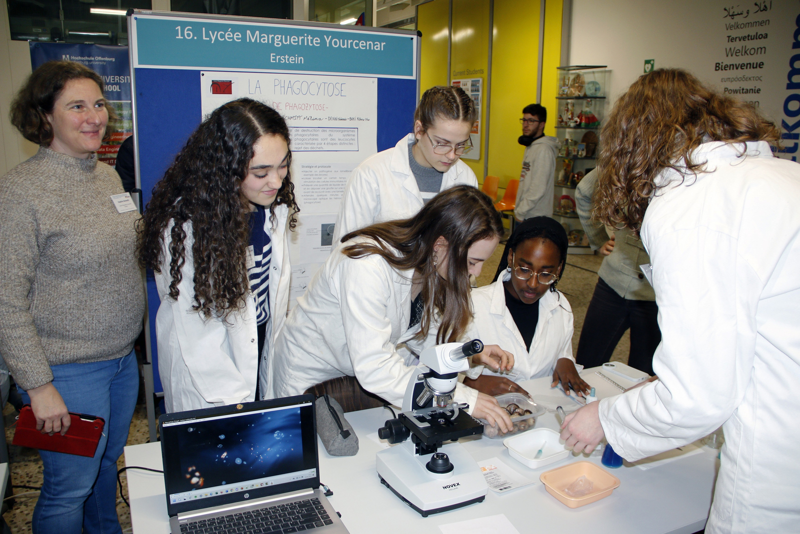 Schülerinnen in weißen Kitteln bereiten eine Mikroskopprobe vor