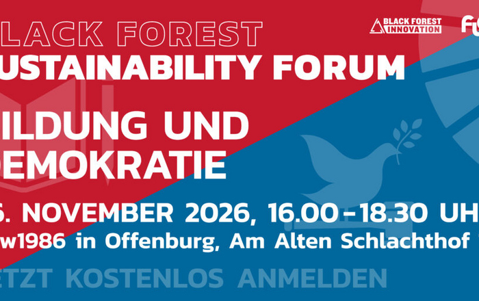 blau-rotes Plakat mit den wichtigsten Infos