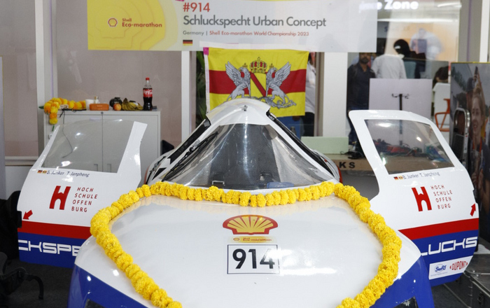 Schluckspecht mit gelbem Blumenkranz und offenen Türen