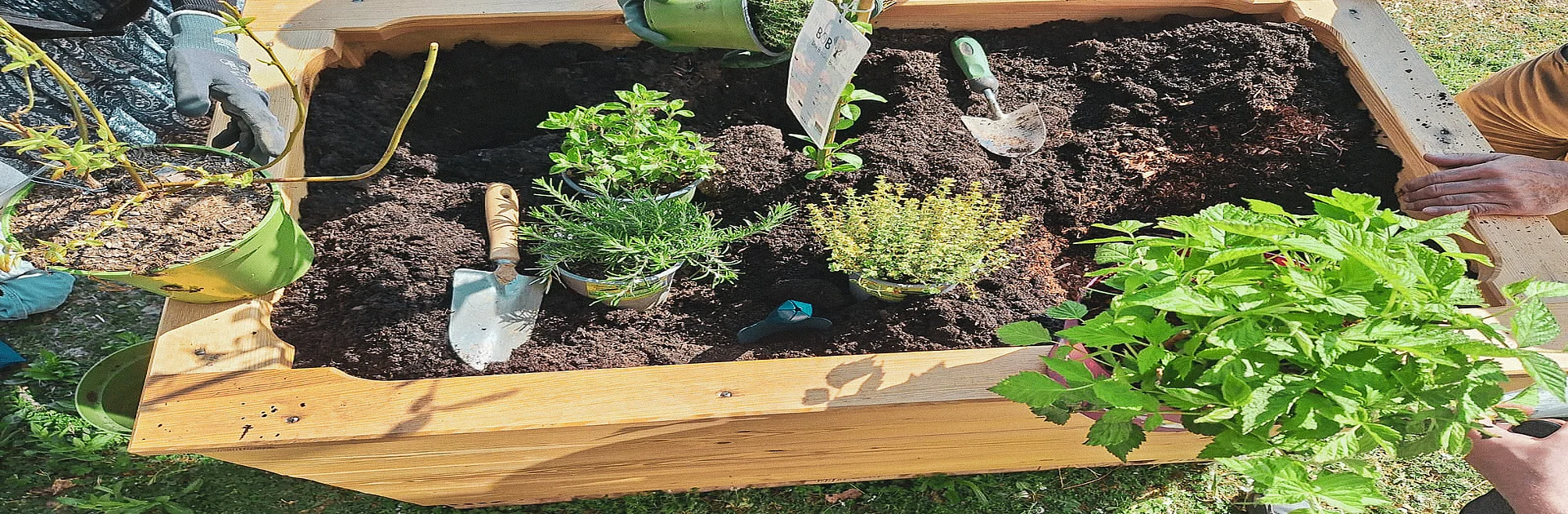 Bild eines Hochbeets
