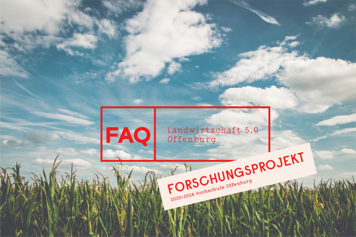 arbeitssuche offenburg