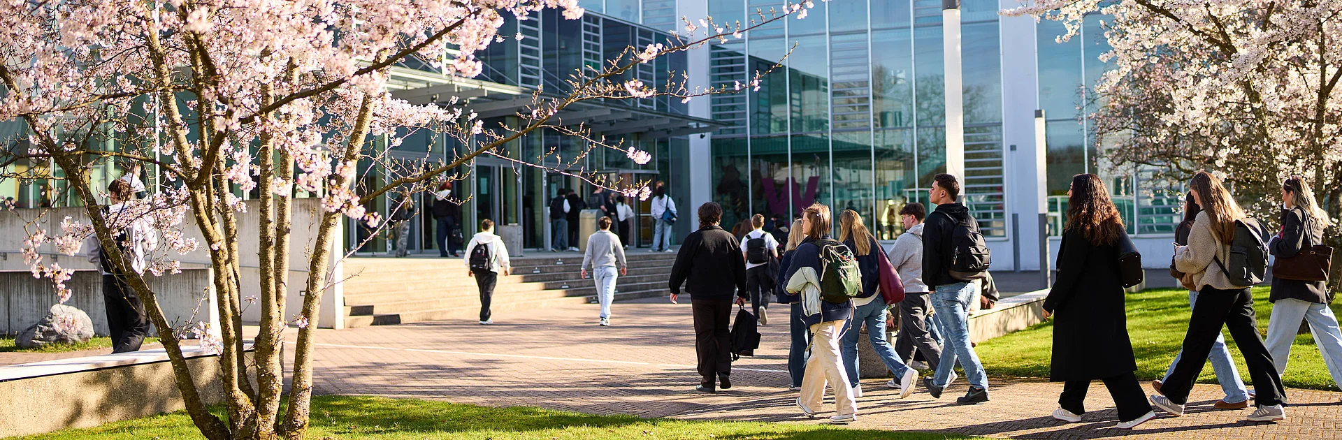 Studiernde auf dem Campus