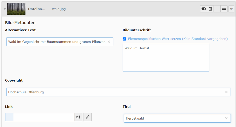 Bild-Metadaten Screenshot Bild-Metadaten mit alternativem Text, Bildunterschrift, Copyright und Titel