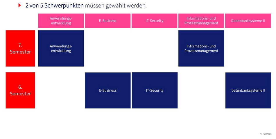 Schwerpunkte Wirtschaftsinformatik PLUS Pädagogik