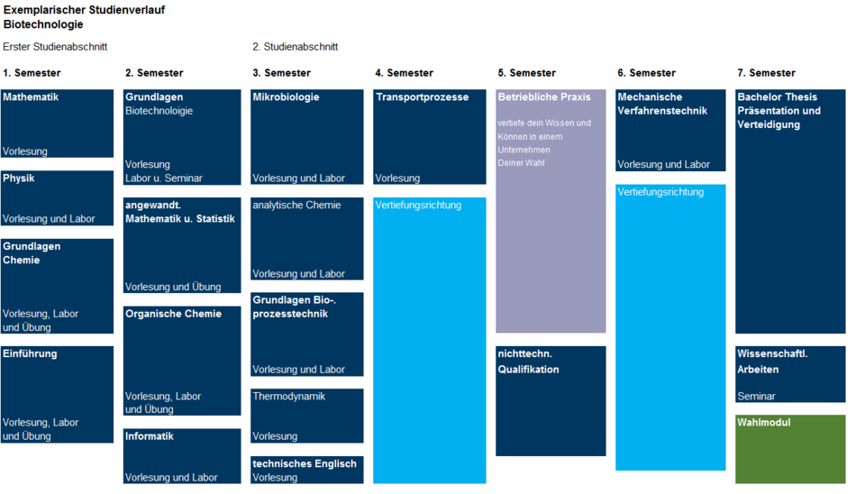 exemplarischer Studienverlauf des Studiengangs Biotechnologie 