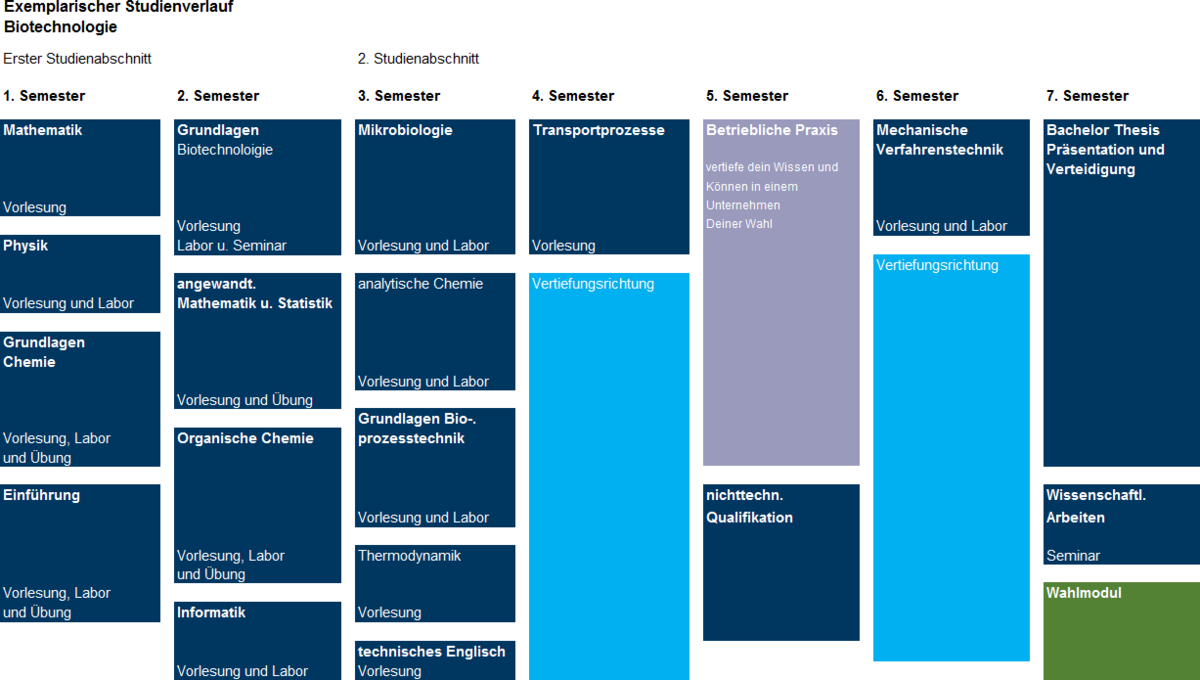 exemplarischer Studienverlauf des Studiengangs Biotechnologie 