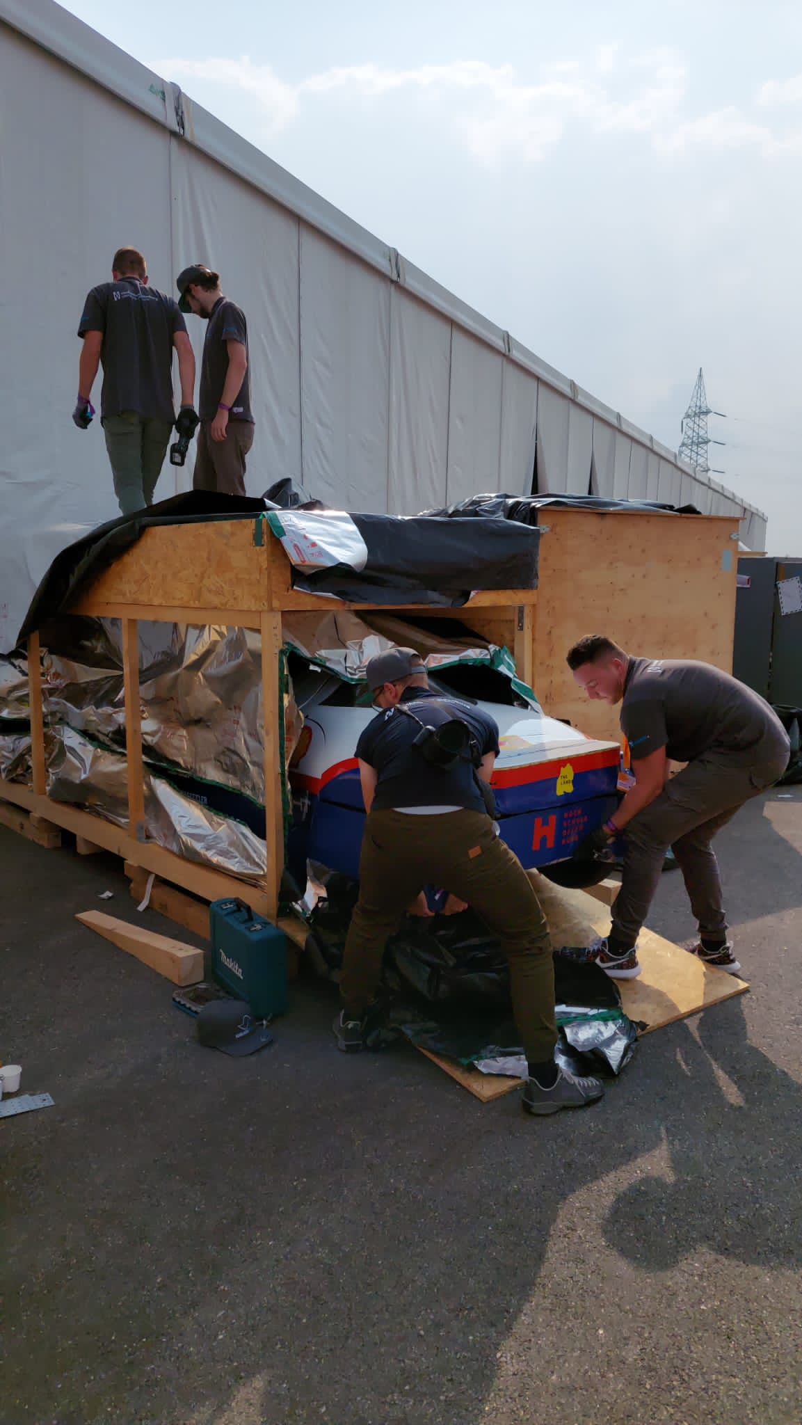 Teammitglieder holen Schluckspecht aus Transportkiste