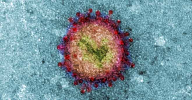 Bild von Virus