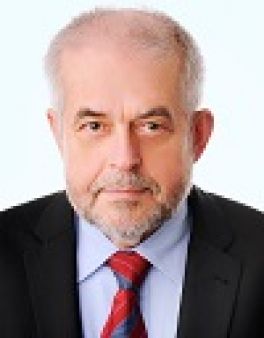 Ismer, Bruno, Prof.Dr. rer. nat. habil.